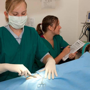 Allora Veterinary Clinic - Allora, QLD