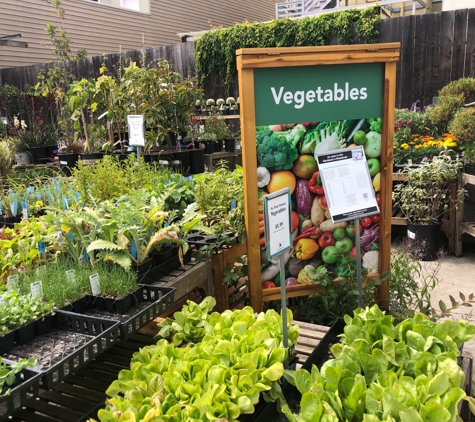 Sloat Garden Center - San Francisco, CA