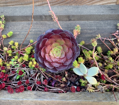 MacCallum House - Mendocino, CA