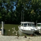 Wild Wings Campground & Marina