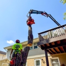 Patriot Tree Service - Tree Service