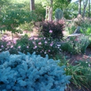 Offshoot Virtual Landscape Services - Landscape Designers & Consultants