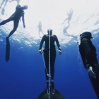 Freedive Kauai