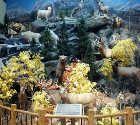 Cabela's - Rapid City, SD