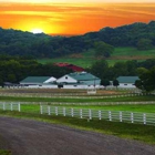 Bella Vista Equestrian Center