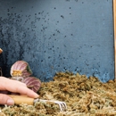 Nature Shield Pest Solutions - Pest Control Equipment & Supplies