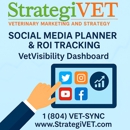 StrategiVET - Internet Marketing & Advertising