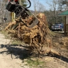 All American Tree Service gallery