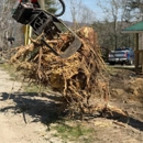 All American Tree Service - Tree Service
