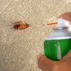 First Rate Pest Management gallery