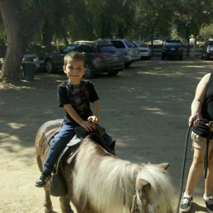 Paddock Riding Club - Los Angeles, CA