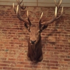 Elks Lodge gallery