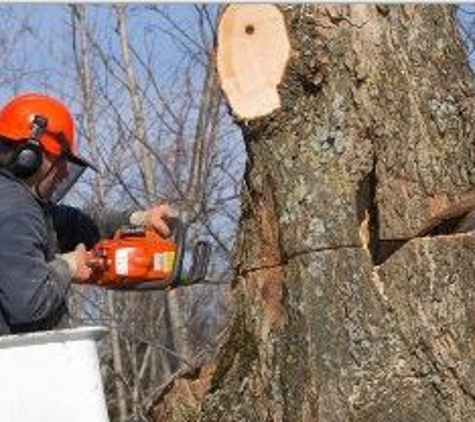 Harry Hannah Tree Service - Millville, NJ