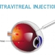 Hilton Head Retina Institute