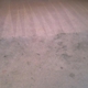 Procare Carpet Cleaning