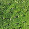Turfmen & ExperiGreen gallery