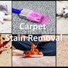 CLEAN San Diego Carpet Cleaning Services