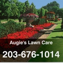 Augies Lawn Care - Landscaping & Lawn Services