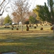 Lancaster Cemetery