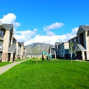 Legacy Village Apartments - Apartments