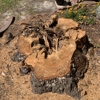 Boo's Stump Grinding gallery