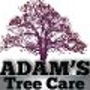 Adam's Tree Care