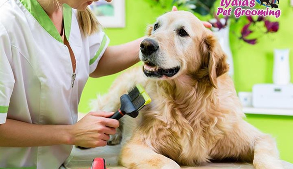 Lydia's Pet Grooming - Amherst, OH