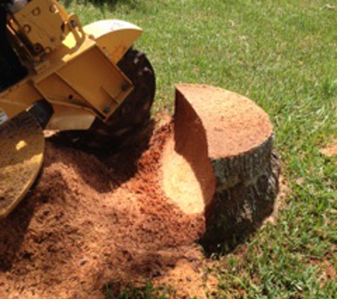 Stump Pro - Cocoa, FL