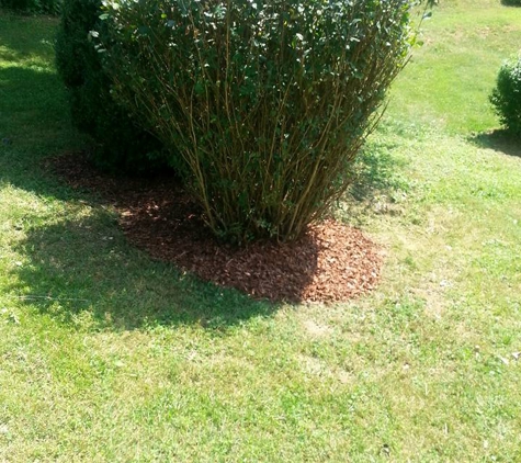 Cheap Lawn Care 828 - Clyde, NC