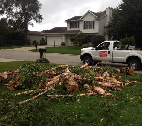 Above & Beyond Tree and Shrubbery Service - South Bend, IN