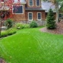 Dream Lawn