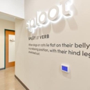 Sploot Veterinary Care - Belmar - Veterinarians