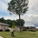 Shade Killers Tree Service LLC - Tree Service