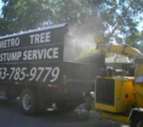 Metro Tree & Stump Service - Blaine, MN