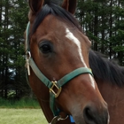 Timber Ridge Equestrian Center