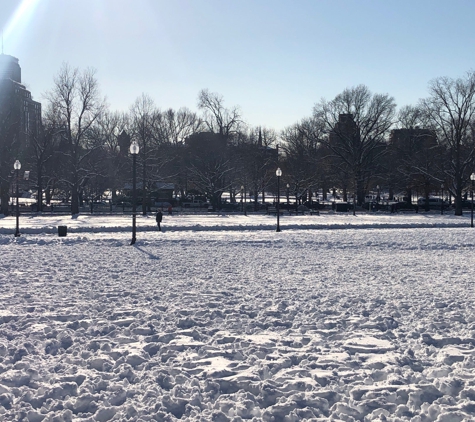 Boston Common Frog Pond - Boston, MA