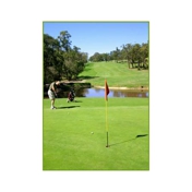 Gallery Image Number 2