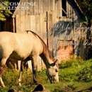 Equine Challenge Supplements
