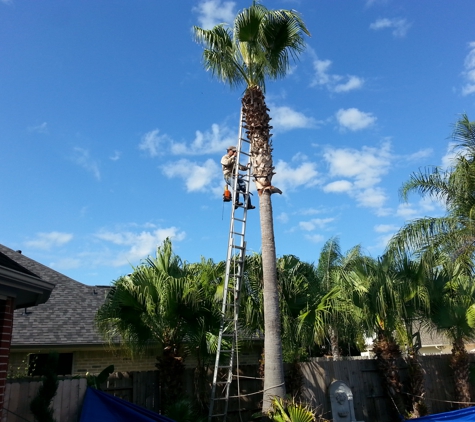 Texans Tree Service - Houston, TX