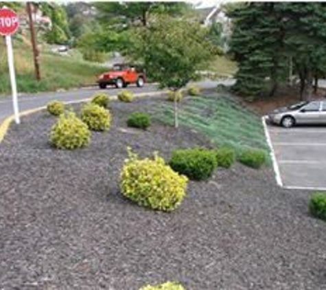 Scenic View Landscaping - Emmaus, PA