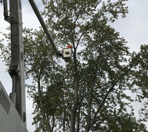 In & Out Tree Care - Columbus, OH