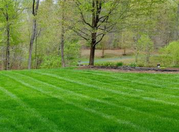 Brandon Rushing Lawn & Garden Care - Lorton, VA