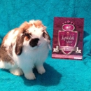 Ally Baca Farms - Rabbits