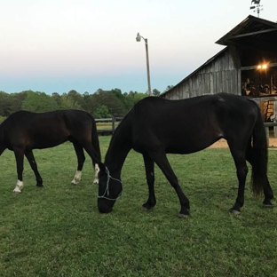 The Vittetoe Farm - Chickamauga, GA