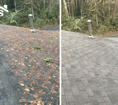 SAFE Roof Cleaning Moss Removal and Gutter Cleaning