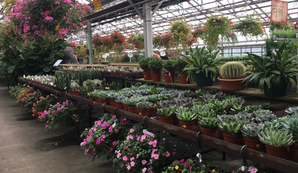 Kane's Flower World Inc - Danvers, MA