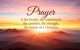 Ointment of Spikenard Ministries - Community Organizations