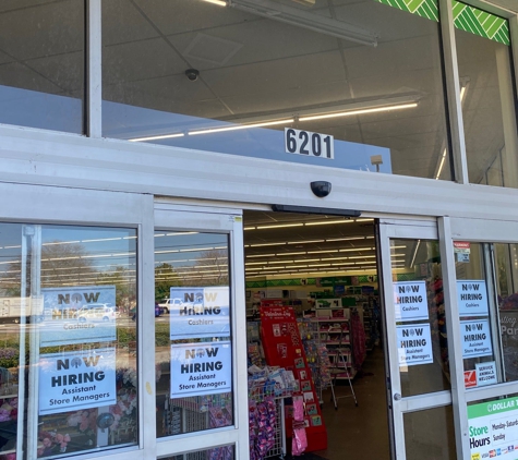 Dollar Tree - Greenville, SC