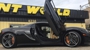 Tint World - Automobile Parts & Supplies