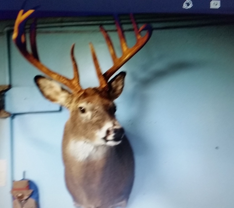 Quiles Taxidermy - Staunton, IN